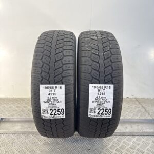 Gomme Usate 195 65 R15 91T Motrio Winter Far Away Invernali