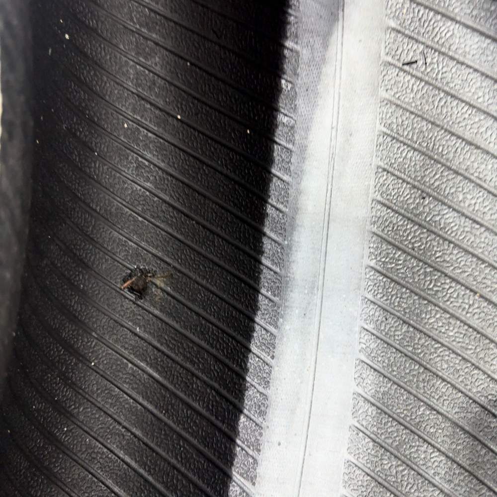 Gomme Usate 235 65 R16C 115/113R Hankook Winter I*Cept LV 86% Invernali | Gomme Usate | PrimaGomme.it HANKOOK Winter I*Cept LV 235/65 R16C 115/113R, dettaglio fotografico 12